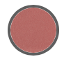 ICD MAKEUP BUTTER LIP TINT VELVET MATTE (22 Blushing Apricot)